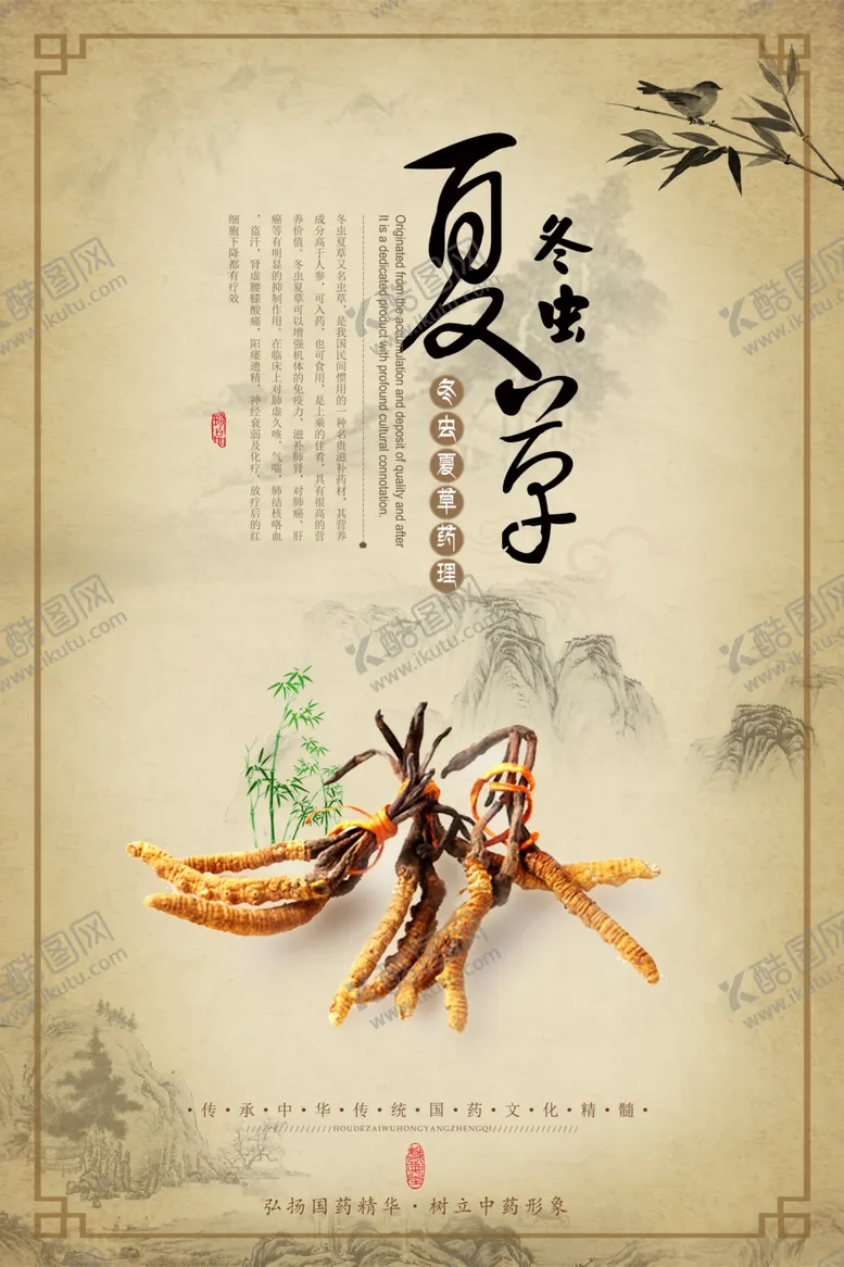 编号：90739105070727565001【酷图网】源文件下载-冬虫夏草药材国风复古宣传海报