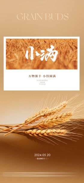 小满节气海报二十四简约麦穗