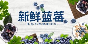 新鲜蓝莓展示图