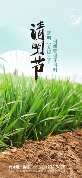 清明节