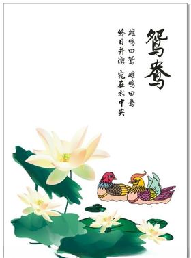 鸳鸯