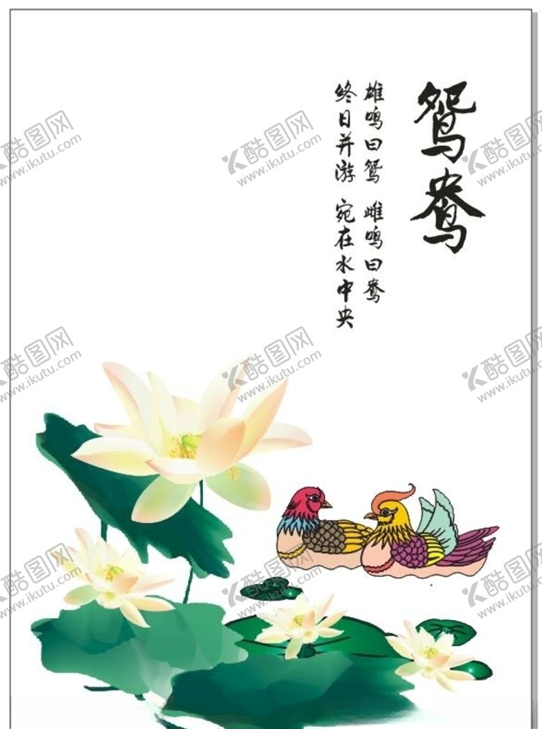 编号：77289105102329371979【酷图网】源文件下载-鸳鸯