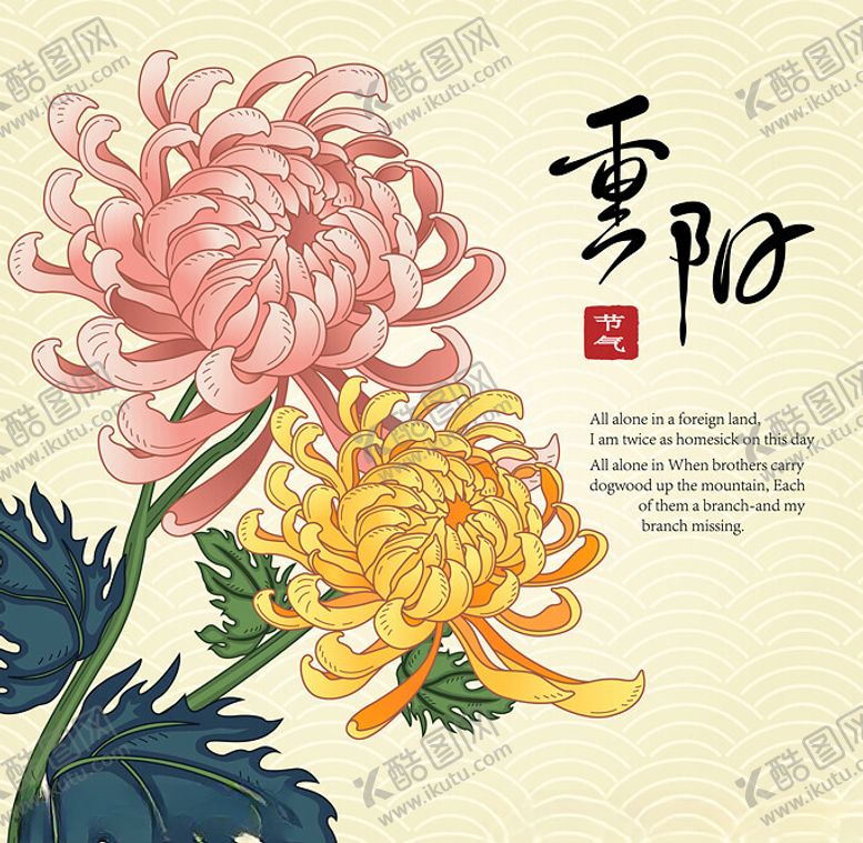 编号：57641502242013475873【酷图网】源文件下载-菊花