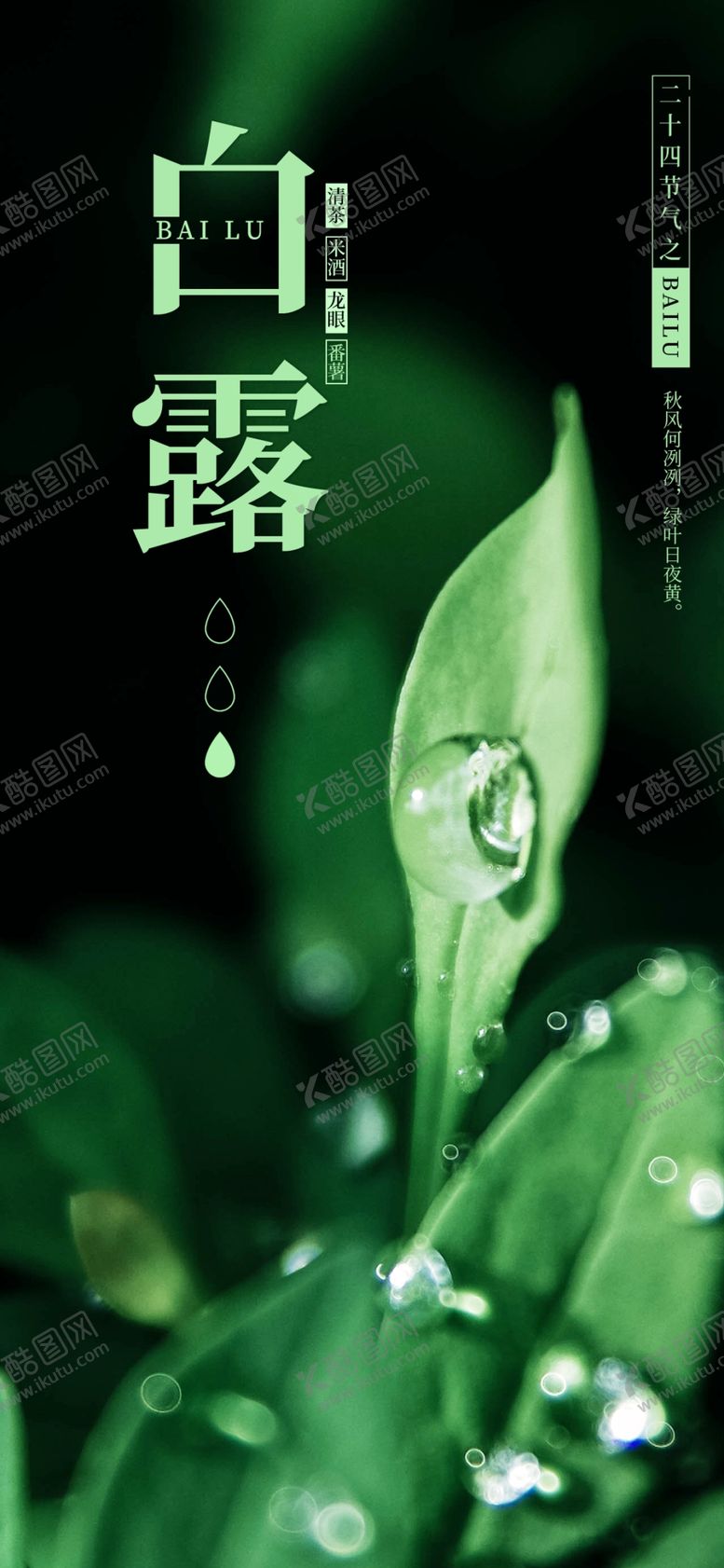 编号：67333106250537517857【酷图网】源文件下载-白露