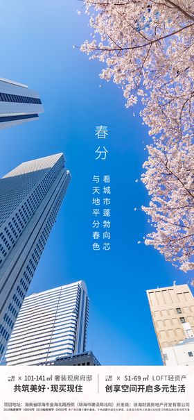 春分节气移动端海报