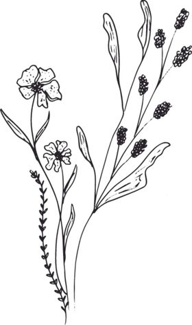 手绘花卉元素