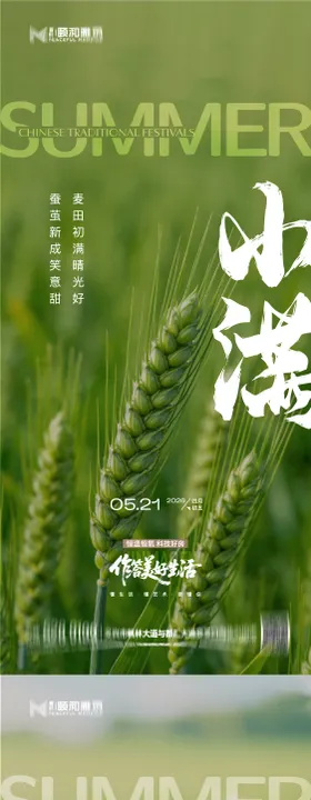 小满麦田二十四节气节日海报2026