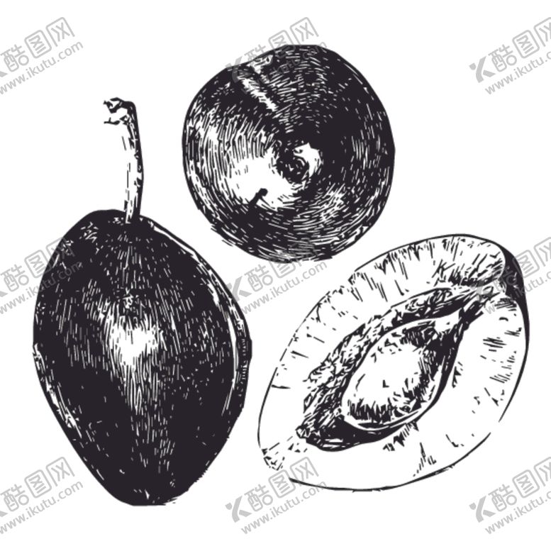 编号：79552707140802426980【酷图网】源文件下载-水果绘画线稿图案