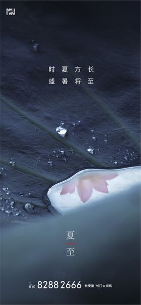 夏至