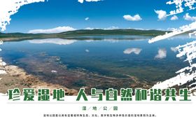 湿地岛效果图