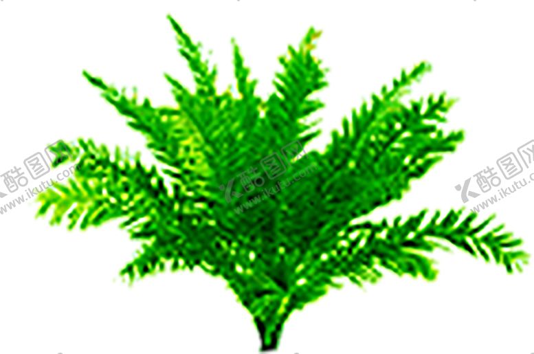 编号：54684109221430473251【酷图网】源文件下载-绿色装饰