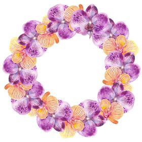 夏日水彩绘画花朵花圈