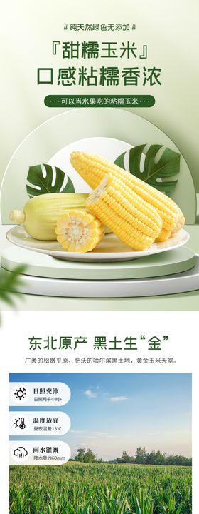玉米详情页