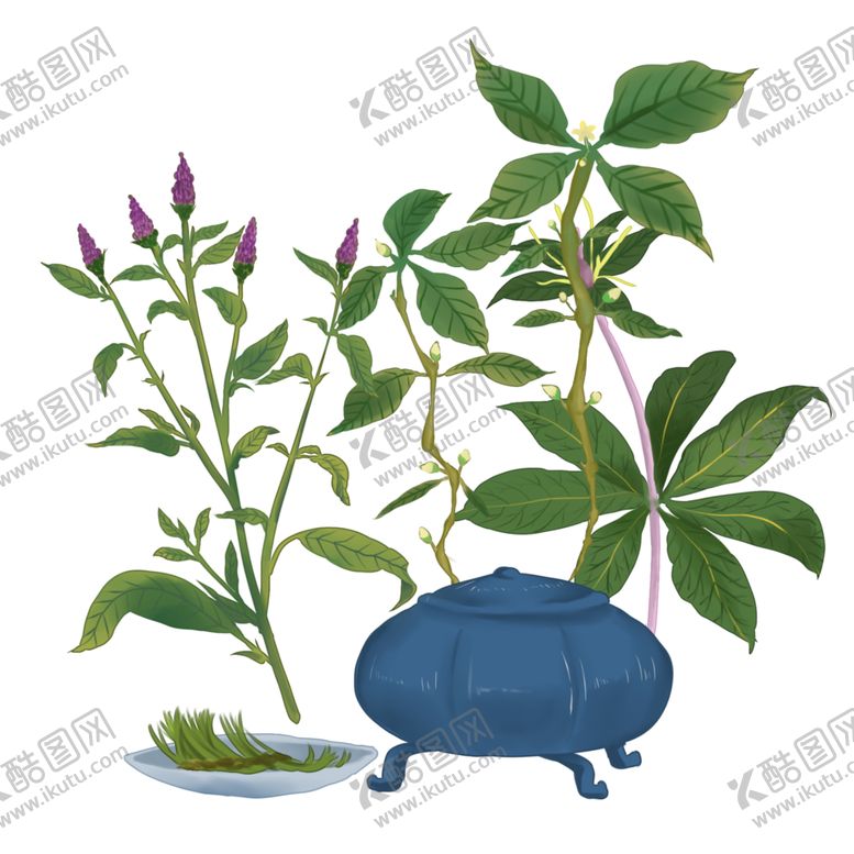 编号：17139610211340211086【酷图网】源文件下载-草本植物