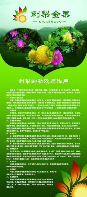 刺梨功效