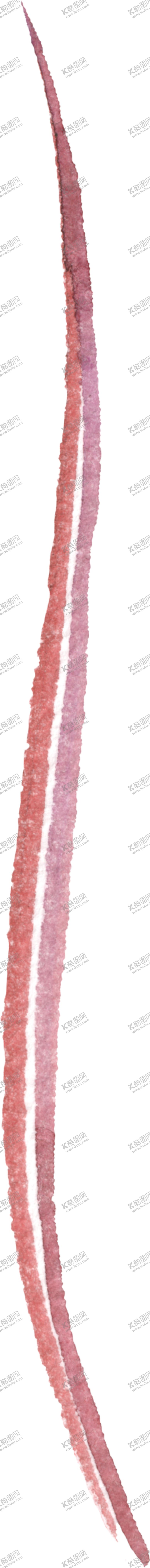 编号：42332705140217086247【酷图网】源文件下载-水彩手绘花卉花朵植物