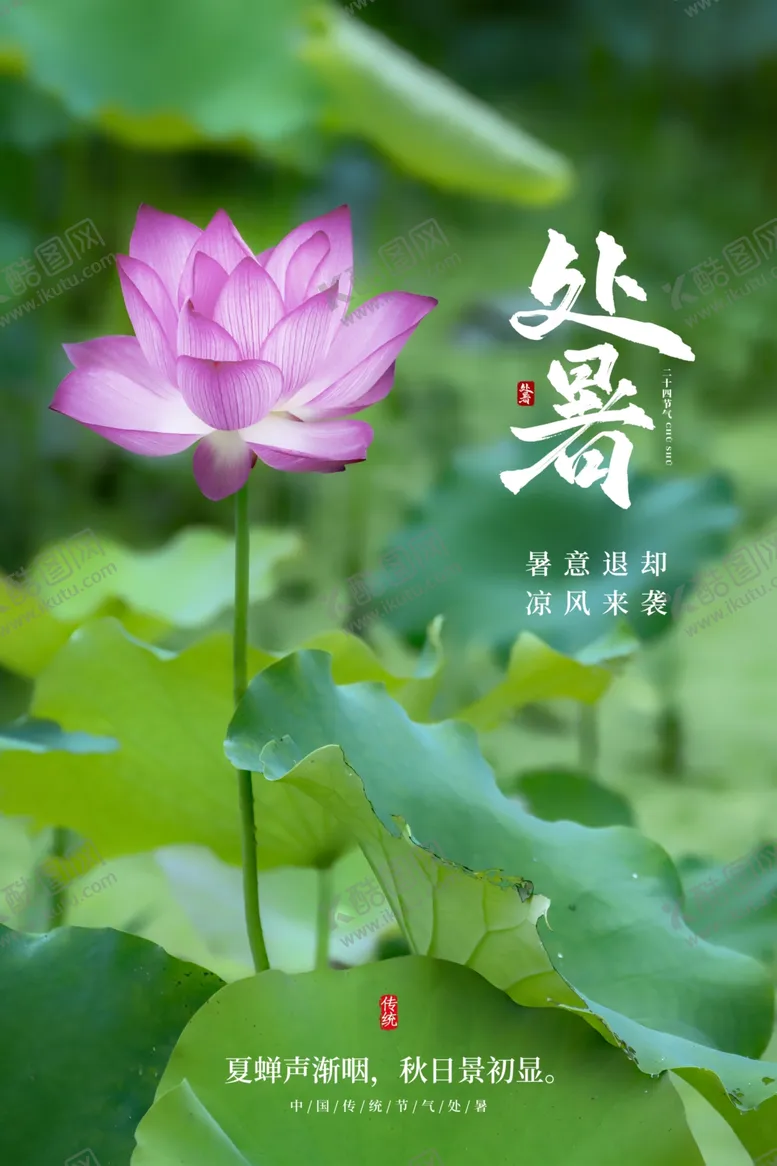 编号：38159112030344394227【酷图网】源文件下载-处暑海报