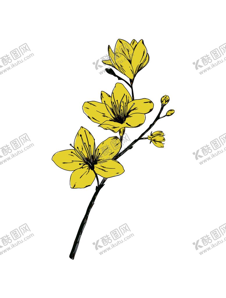 编号：36094810072140107813【酷图网】源文件下载-花枝
