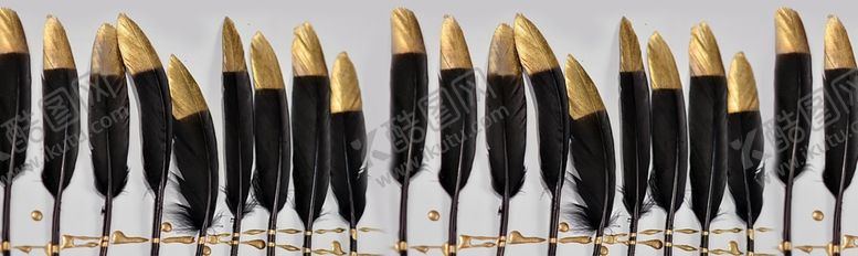 编号：55264010040233505609【酷图网】源文件下载-羽毛床头装饰挂画