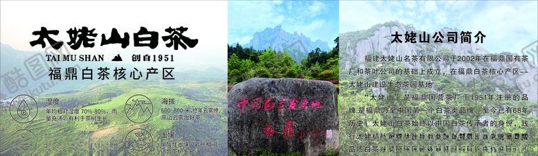 编号：19330607030316529135【酷图网】源文件下载-太姥山白茶