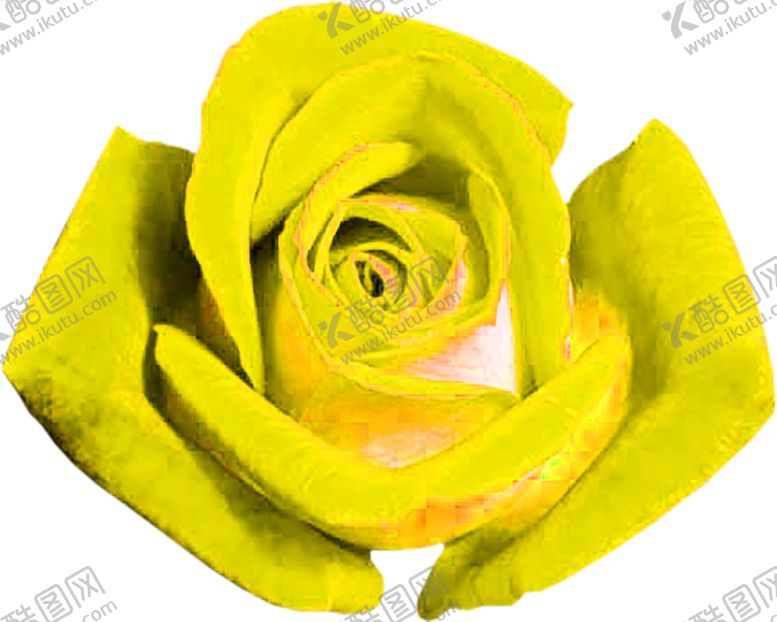 编号：82846809181757156394【酷图网】源文件下载-花素材