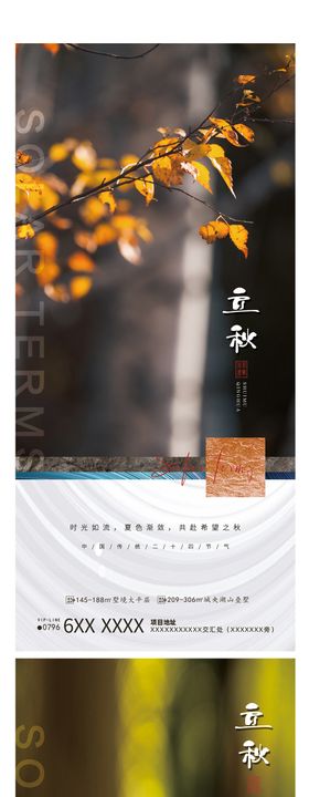 地产立秋节气海报简约枫叶房