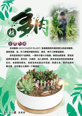 中秋节小报