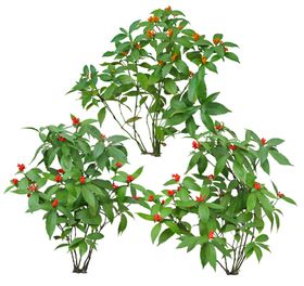 免扣植物素材图片绿树花丛围栏
