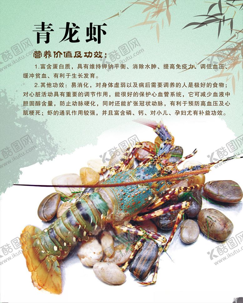 编号：95824810080826388829【酷图网】源文件下载-青龙虾