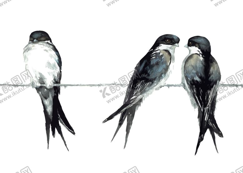 编号：45390710080457157497【酷图网】源文件下载-矢量燕子
