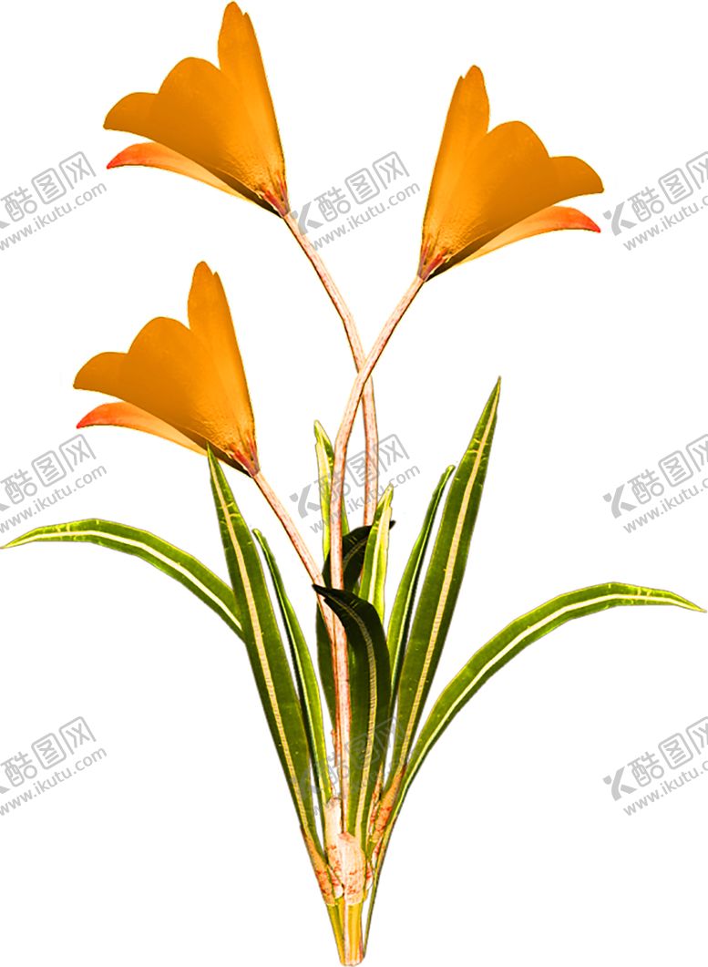 编号：35458109292247047478【酷图网】源文件下载-花素材
