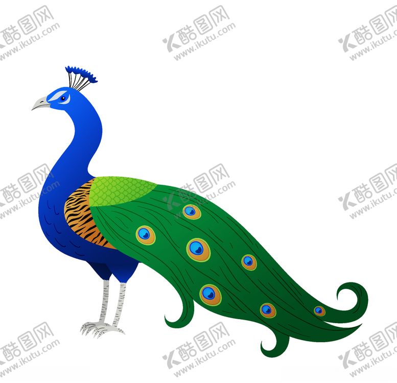 编号：55689209210012004821【酷图网】源文件下载-孔雀