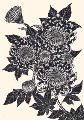 植物花朵绘画素材