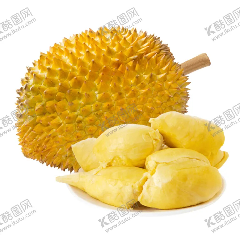 编号：62376302151753272793【酷图网】源文件下载-榴莲