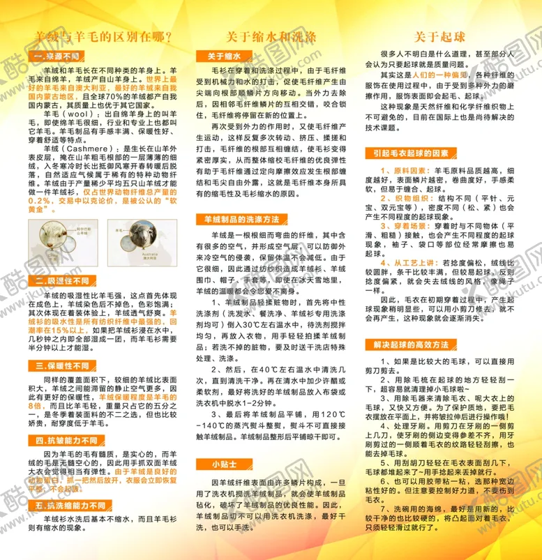 编号：73543407081345504425【酷图网】源文件下载-羊毛与羊绒的区别