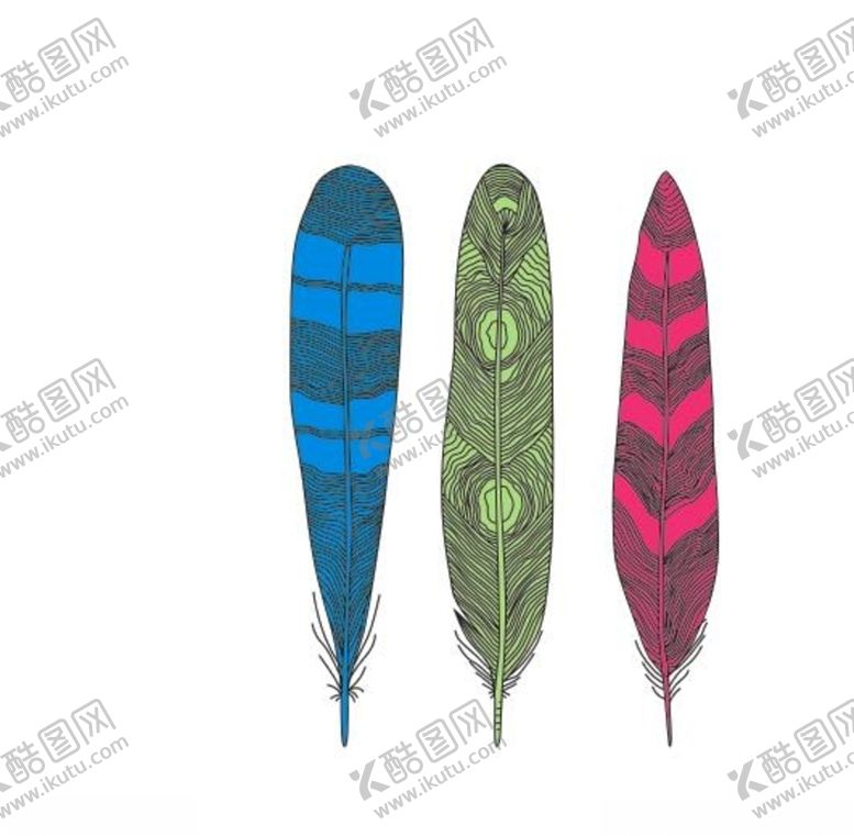 编号：66185510310000546439【酷图网】源文件下载-羽毛