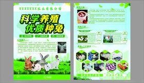牛场宣传养殖