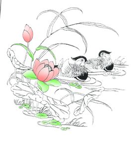 鸳鸯