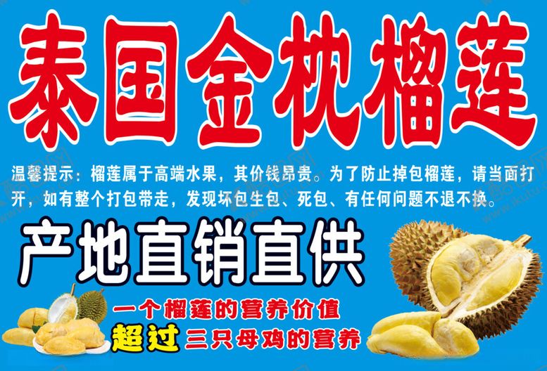 编号：33806212131349178825【酷图网】源文件下载-泰国金枕榴莲