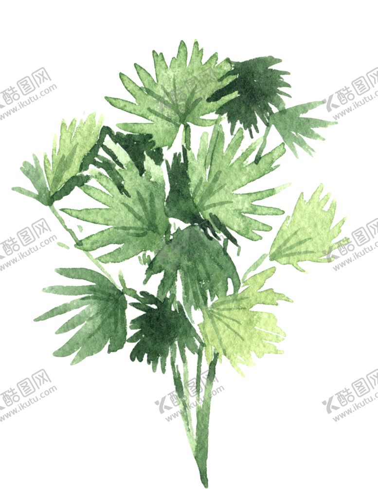 编号：31358010021123465029【酷图网】源文件下载-绿色家庭植物