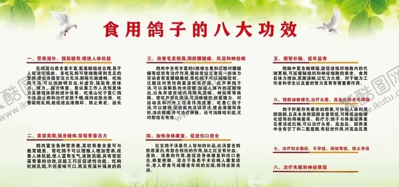 编号：68514206262345097186【酷图网】源文件下载-鸽子功效