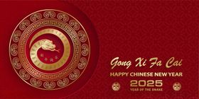 蛇年传统纹样创意设计矢量素材2025乙巳