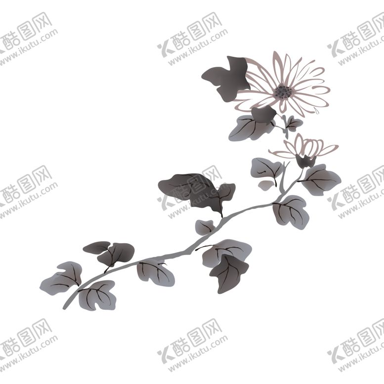 编号：34113706240002167999【酷图网】源文件下载-国画菊花