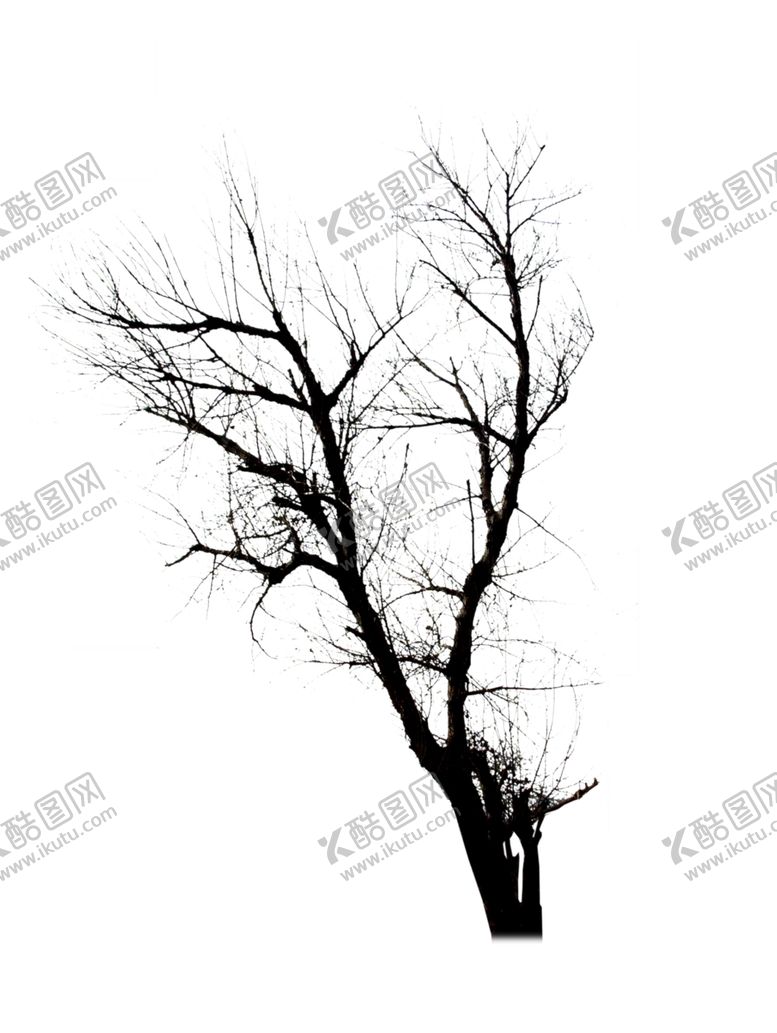 编号：21598505021041413805【酷图网】源文件下载-冬树枯树造型树干树树