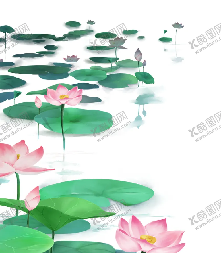 编号：78181512072355381908【酷图网】源文件下载-免扣荷花素材