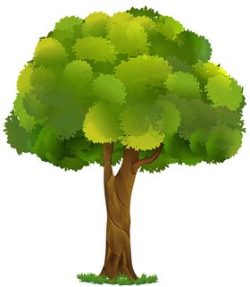 透明大树png素材