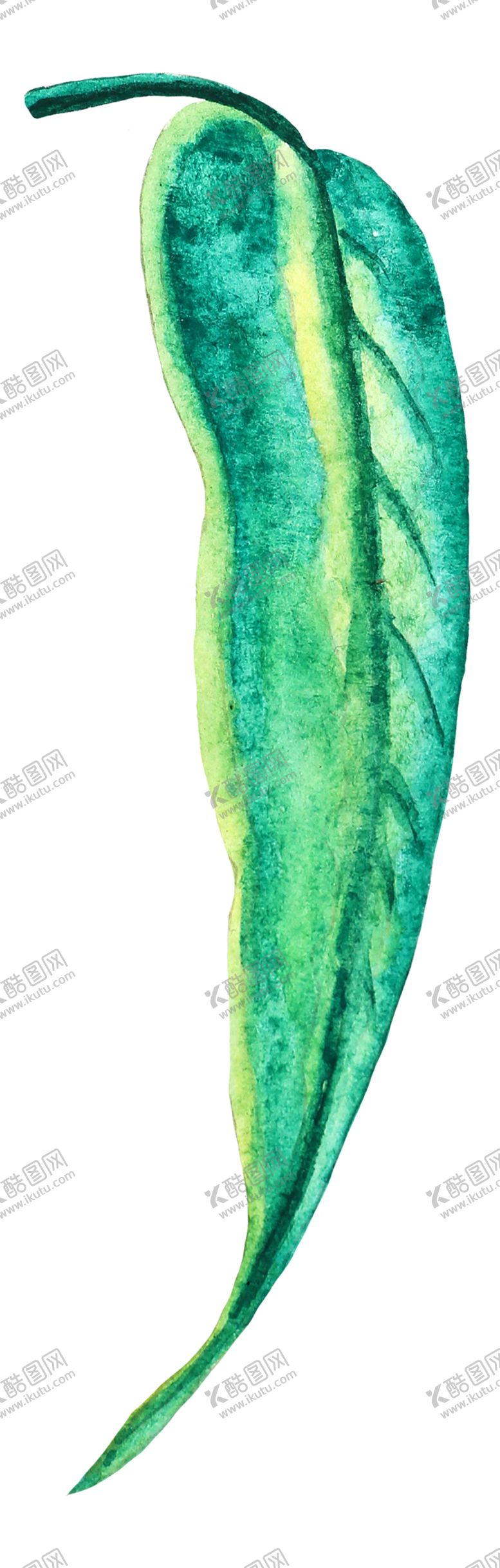 编号：78989309200834359744【酷图网】源文件下载-夏日水彩植物装饰图案