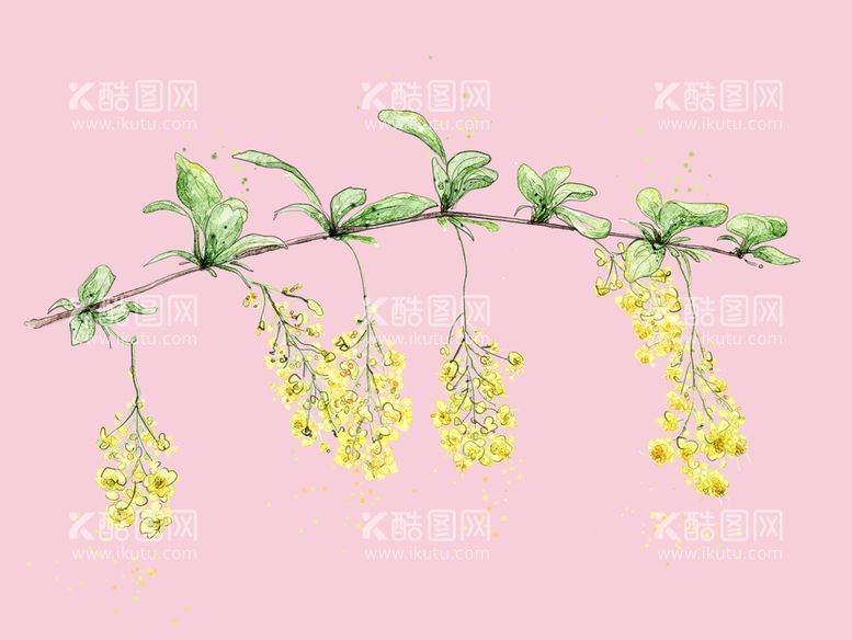 编号：29234311050847381343【酷图网】源文件下载-桂花花朵花卉