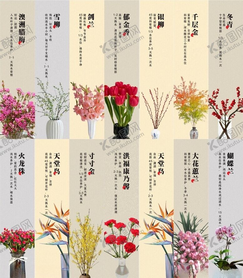养花技巧多种注意事项魁