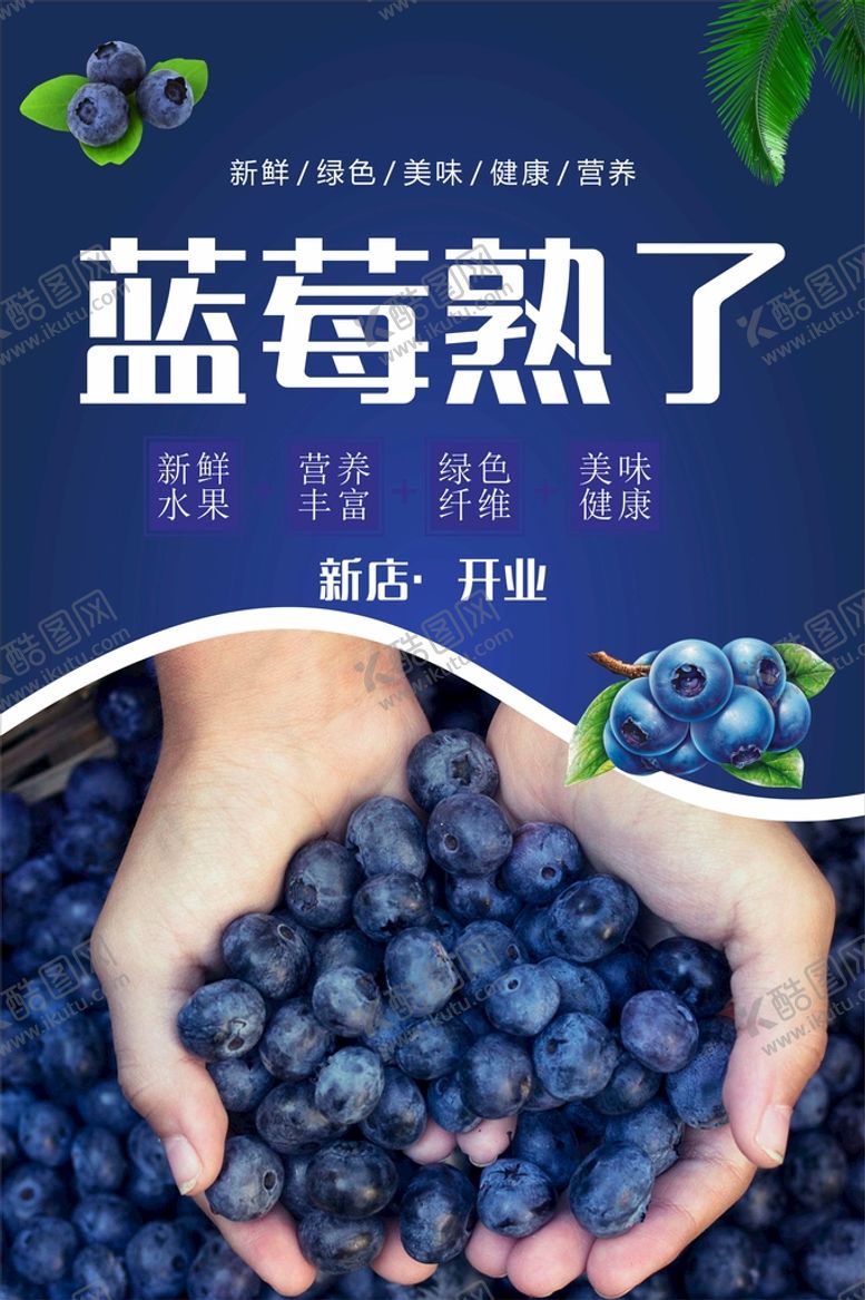 编号：90427702060542331716【酷图网】源文件下载-蓝莓熟了